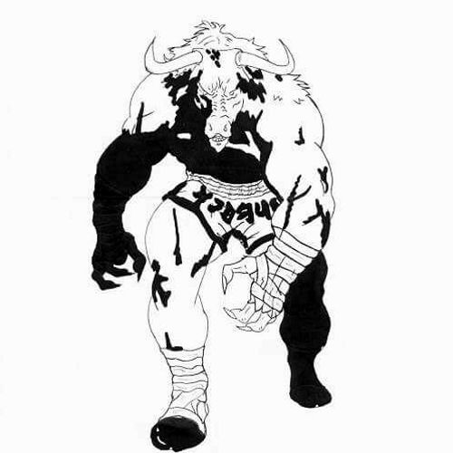 Bull's Gym - Logo 1 (1)