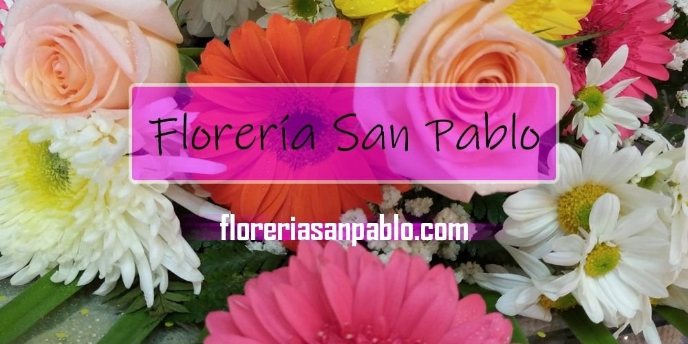 Florería San Pablo - Portada 2 (1)